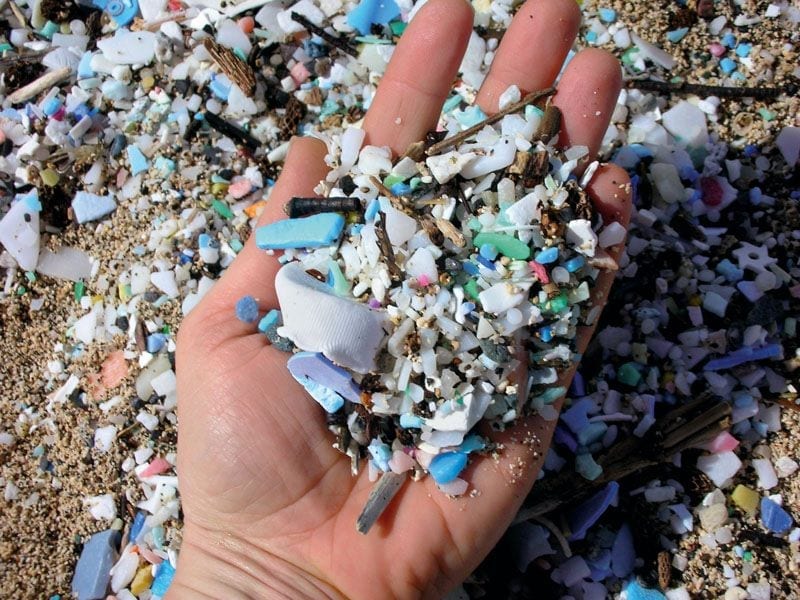 Microplastics photographed in Easter Island